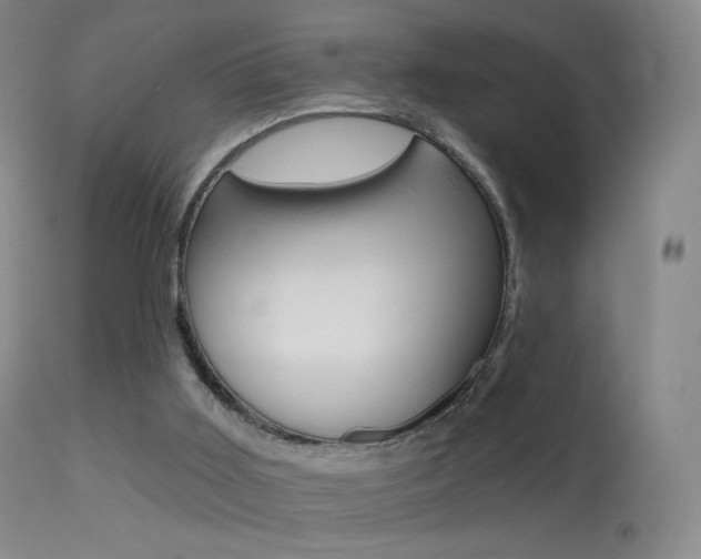 X0000113610011200909181103