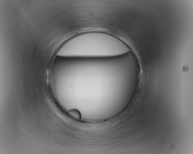 X0000113610013200909181103