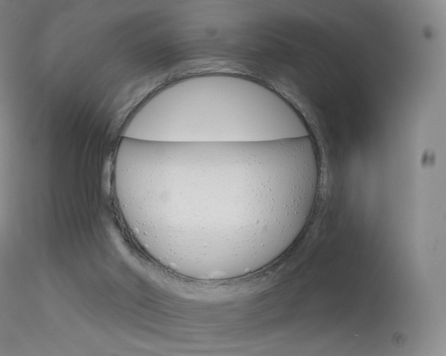 X0000113610014200909181103