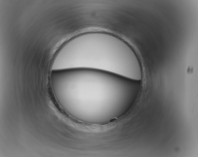 X0000113610015200909181103