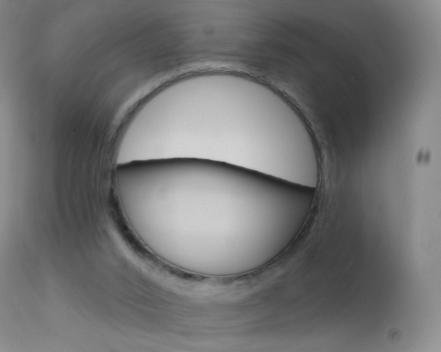 X0000113610016200909181103