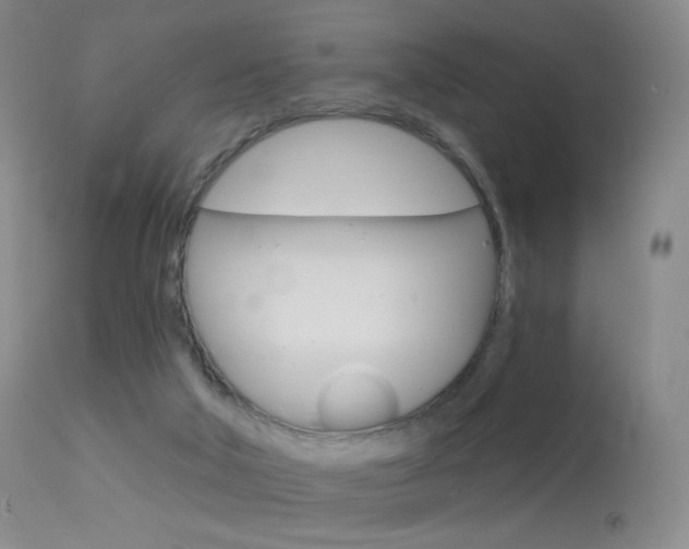 X0000113610018200909181103