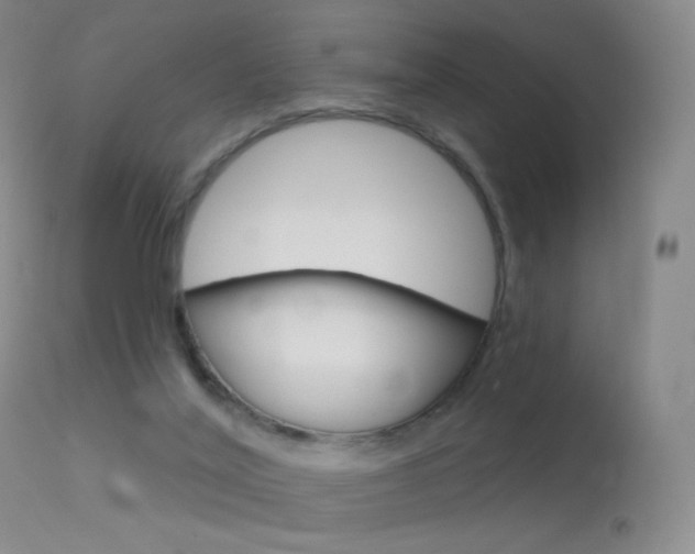 X0000113610020200909181103
