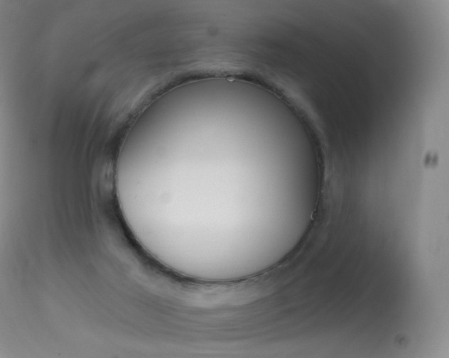 X0000113610021200909181103