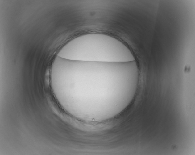 X0000113610022200909181103