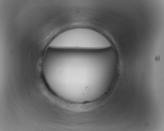 X0000113610023200909181103