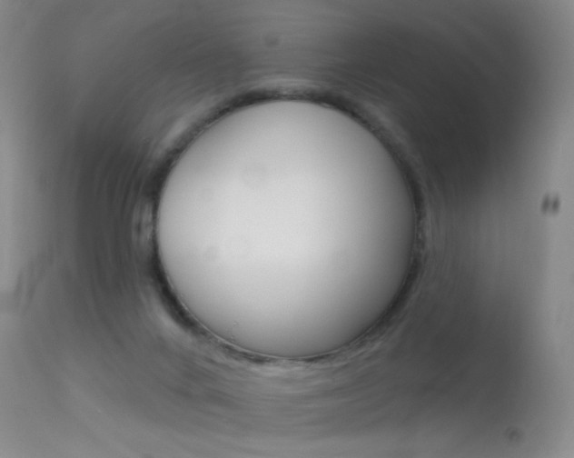 X0000113610024200909181102