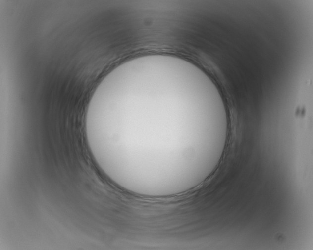 X0000113610025200909181102