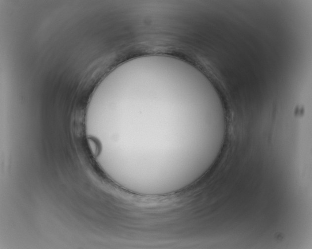 X0000113610026200909181102