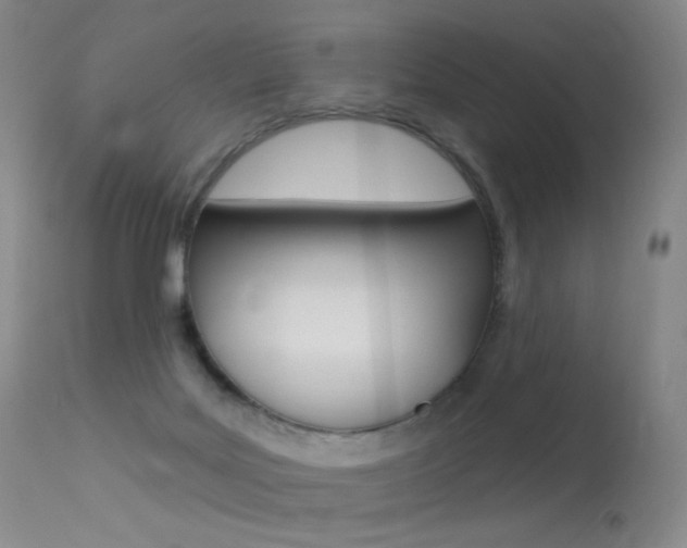 X0000113610027200909181102