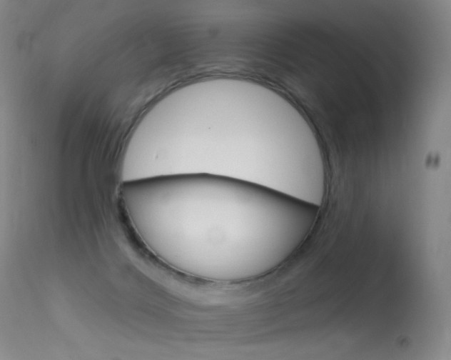 X0000113610028200909181102