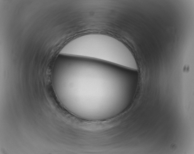 X0000113610029200909181102
