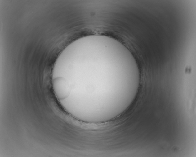 X0000113610030200909181102