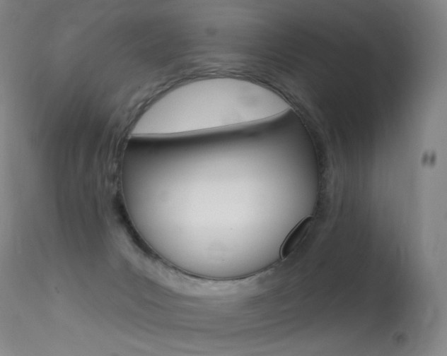 X0000113610031200909181102