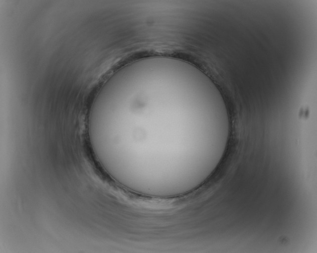 X0000113610032200909181102