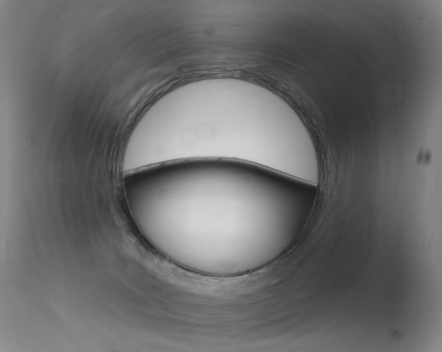 X0000113610035200909181102