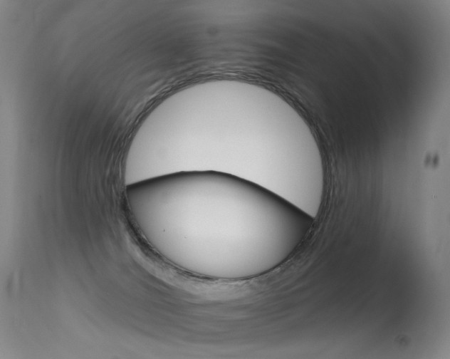 X0000113610036200909181102