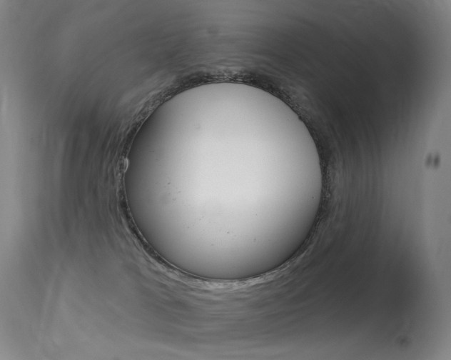 X0000113610037200909181102