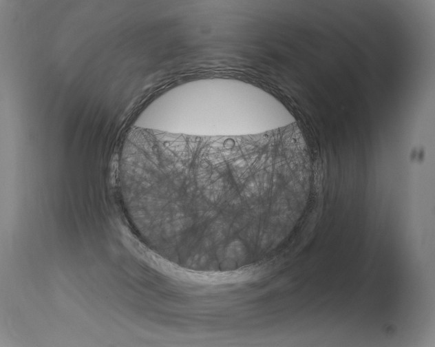 X0000113610038200909181102