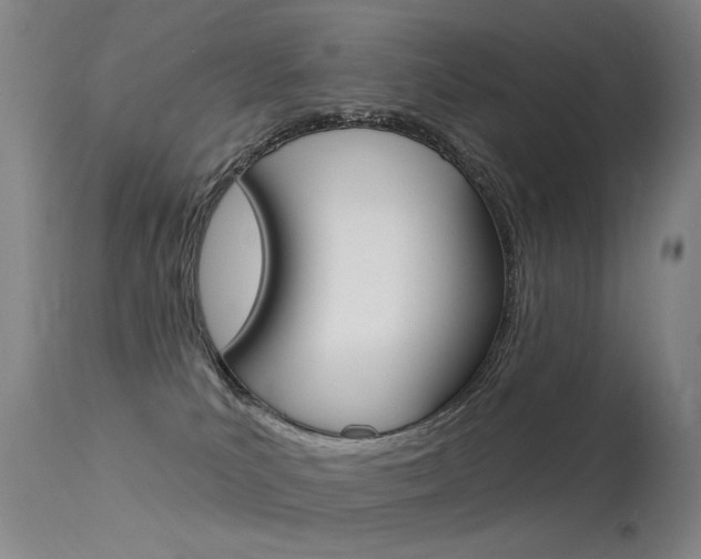 X0000113610039200909181102
