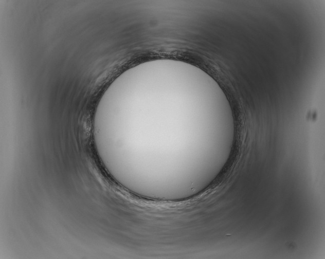 X0000113610040200909181102