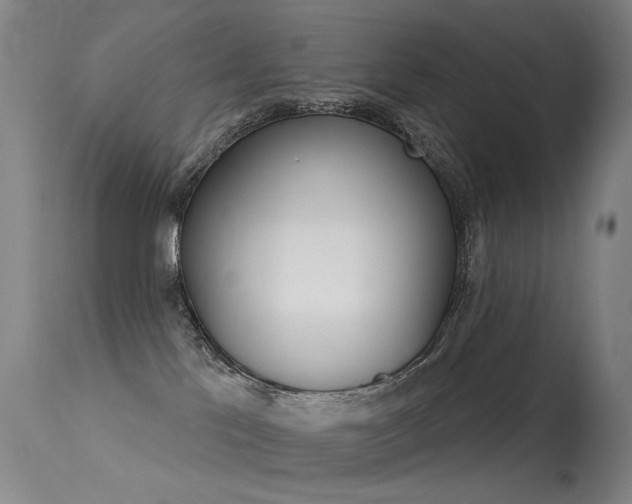X0000113610041200909181102