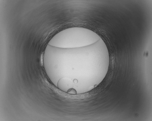 X0000113610042200909181102