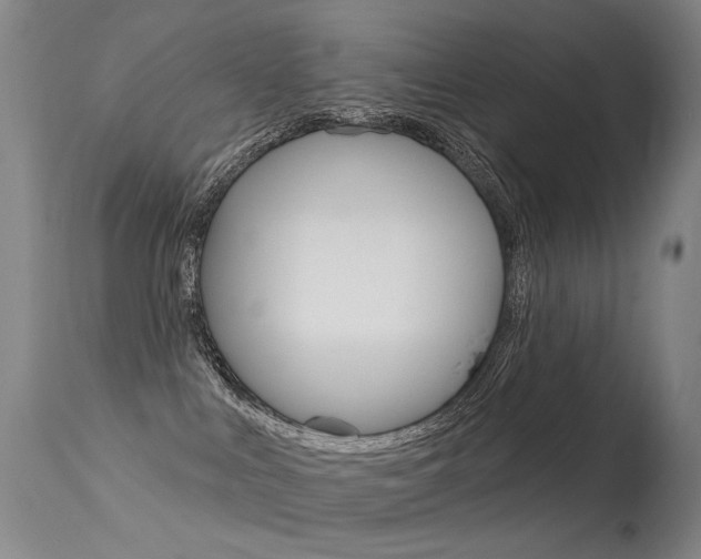 X0000113610043200909181102