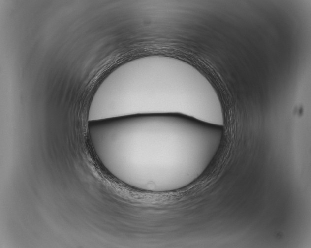 X0000113610044200909181102