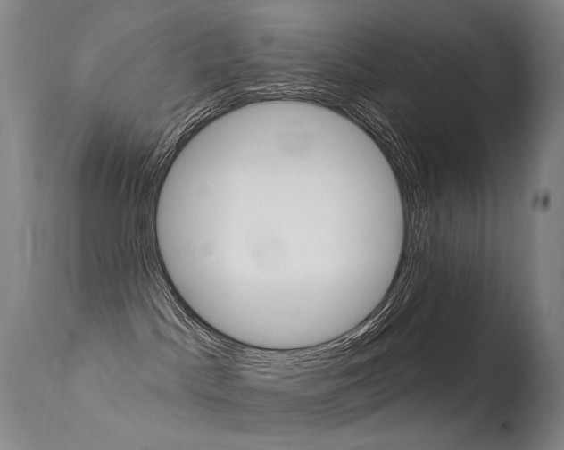 X0000113610045200909181102