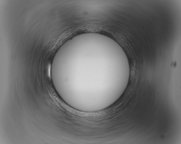 X0000113610046200909181102