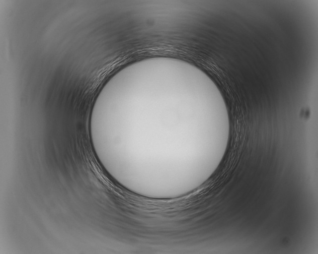 X0000113610047200909181102