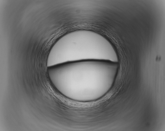 X0000113610048200909181102