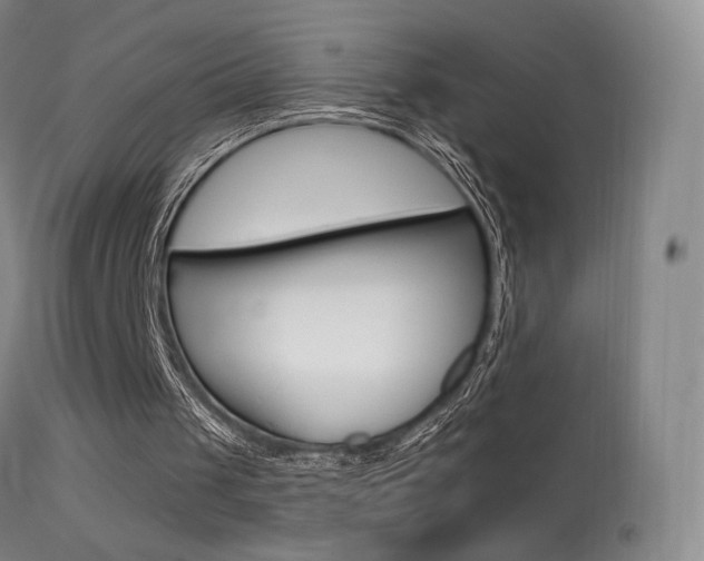 X0000113610049200909181101