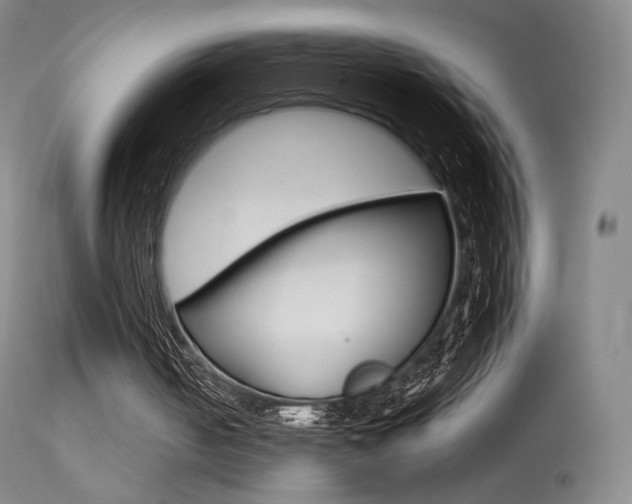 X0000113610050200909181101