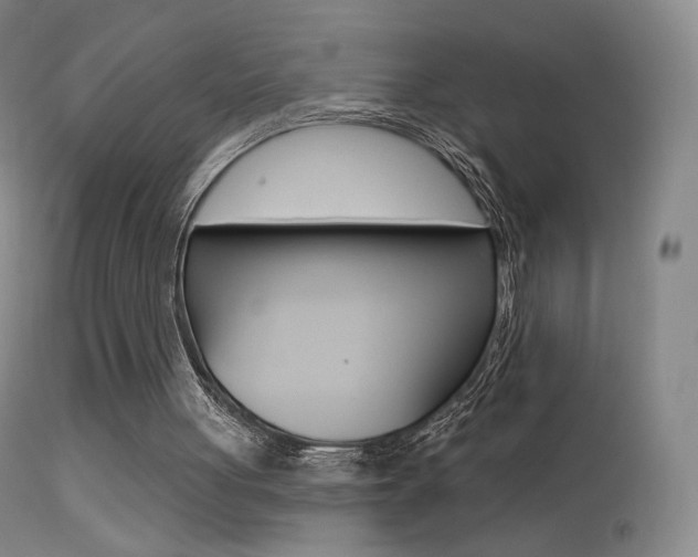 X0000113610051200909181101
