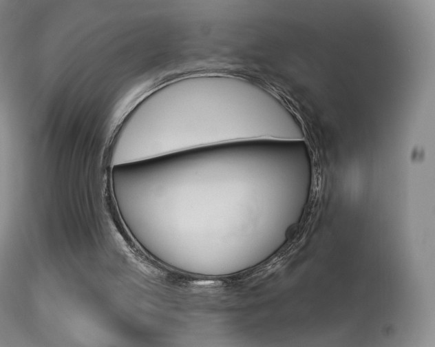 X0000113610053200909181101