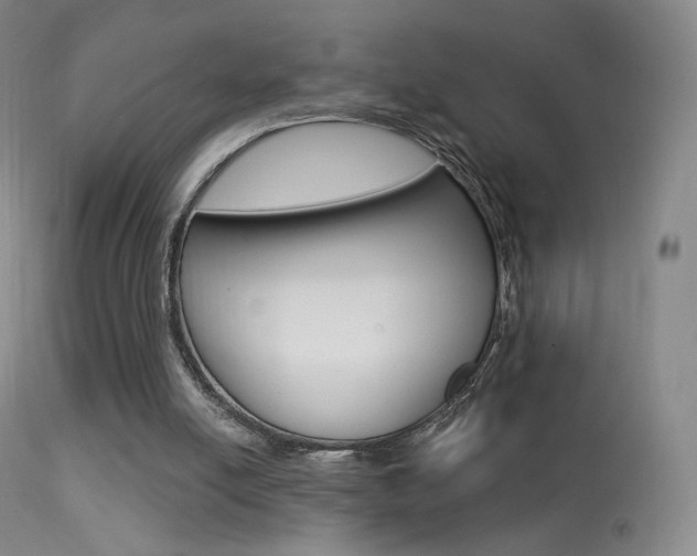 X0000113610054200909181101