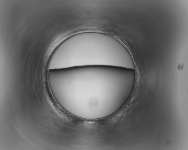 X0000113610055200909181101