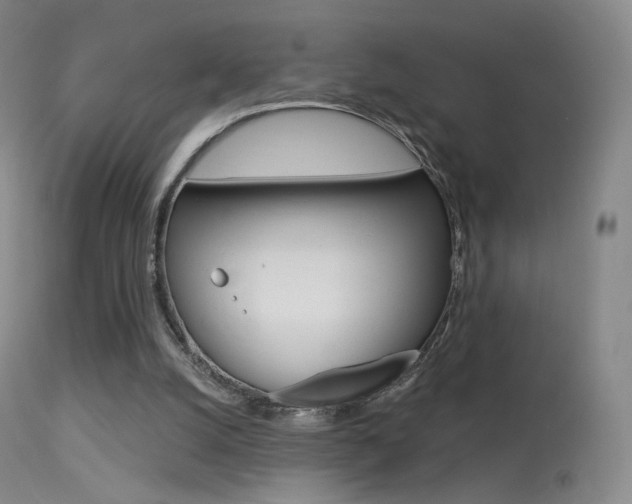 X0000113610056200909181101