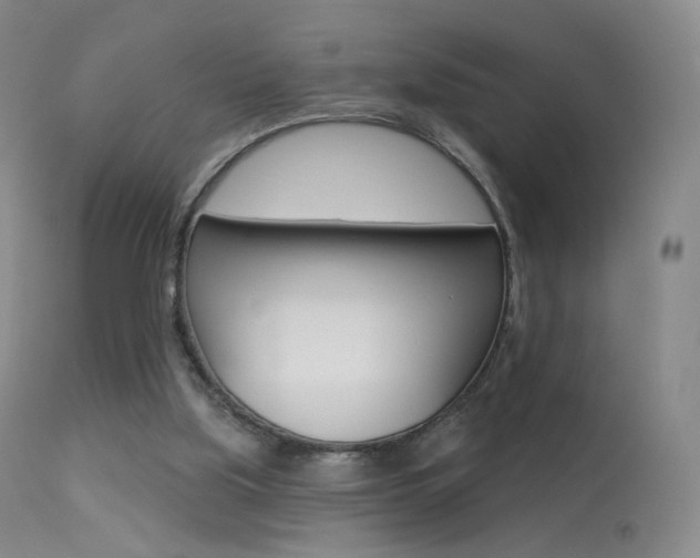 X0000113610059200909181101
