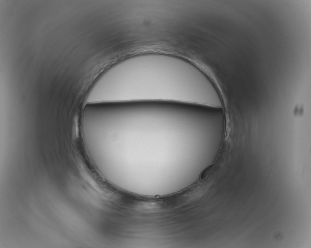 X0000113610061200909181101