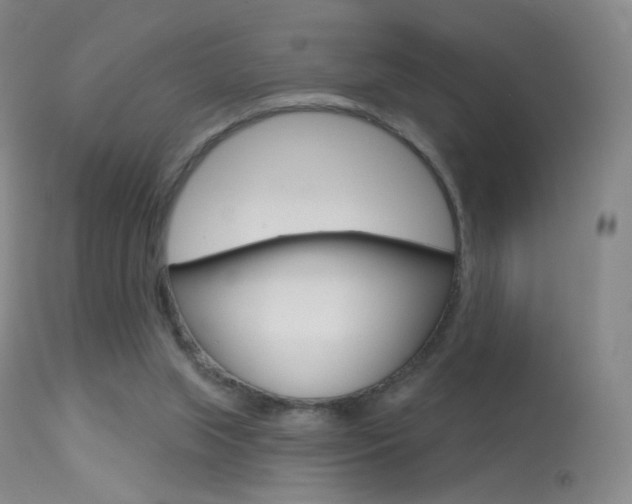 X0000113610063200909181102