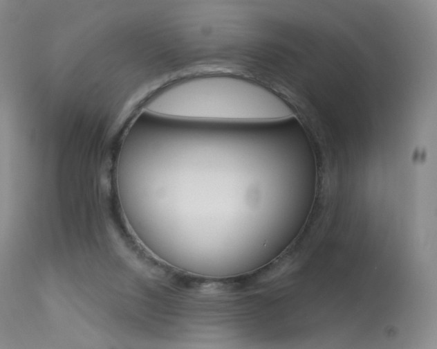 X0000113610064200909181102