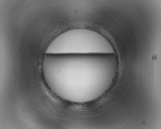 X0000113610065200909181102