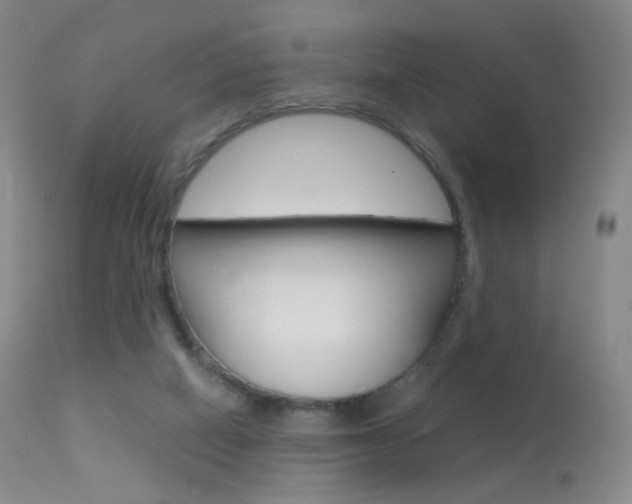 X0000113610066200909181102