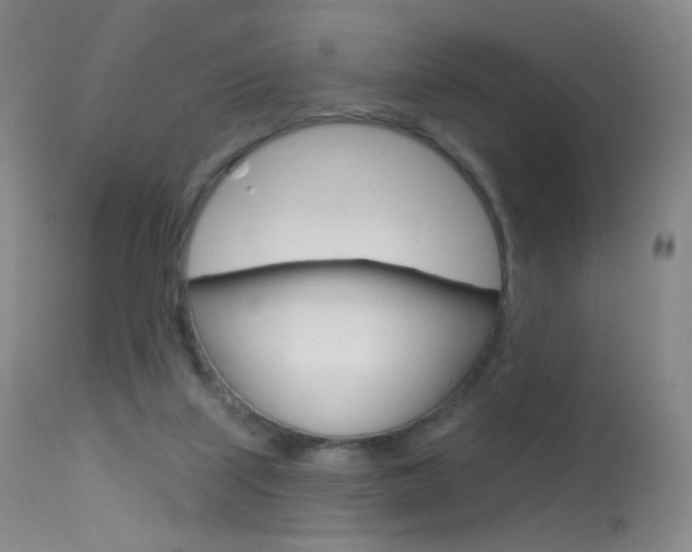 X0000113610067200909181102