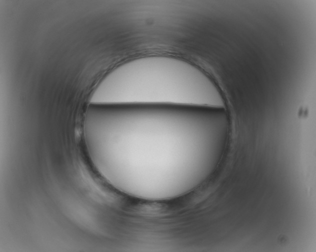 X0000113610069200909181102