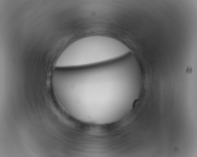 X0000113610070200909181102