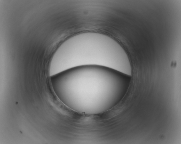 X0000113610072200909181102